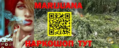 трава Моздок