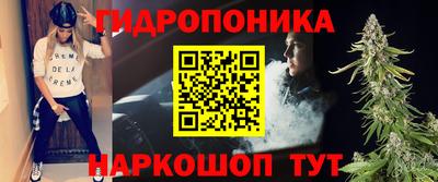 СК Можга