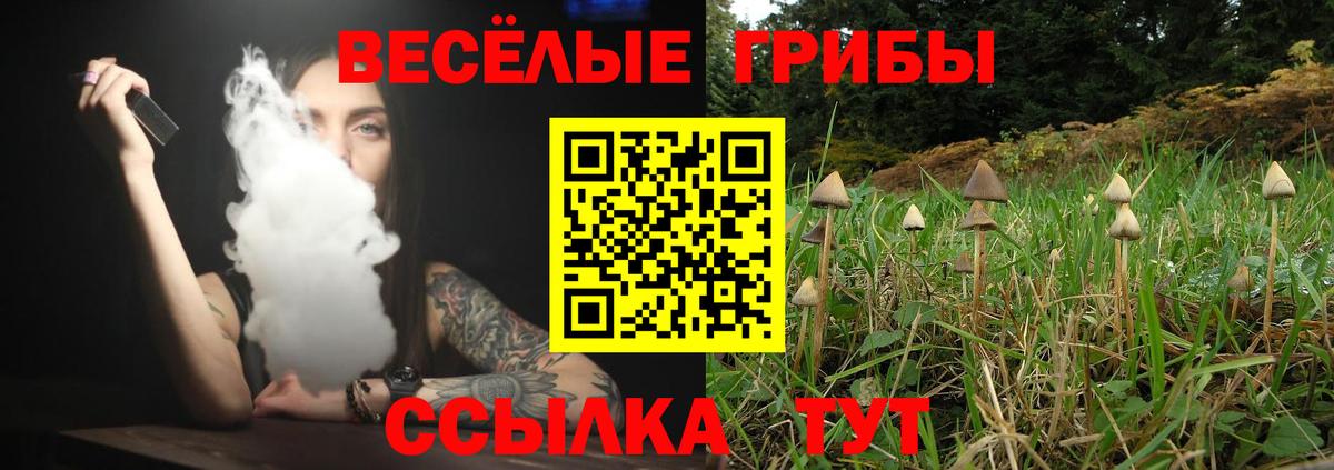 Галлюциногенные грибы прущие грибы Верхняя Пышма