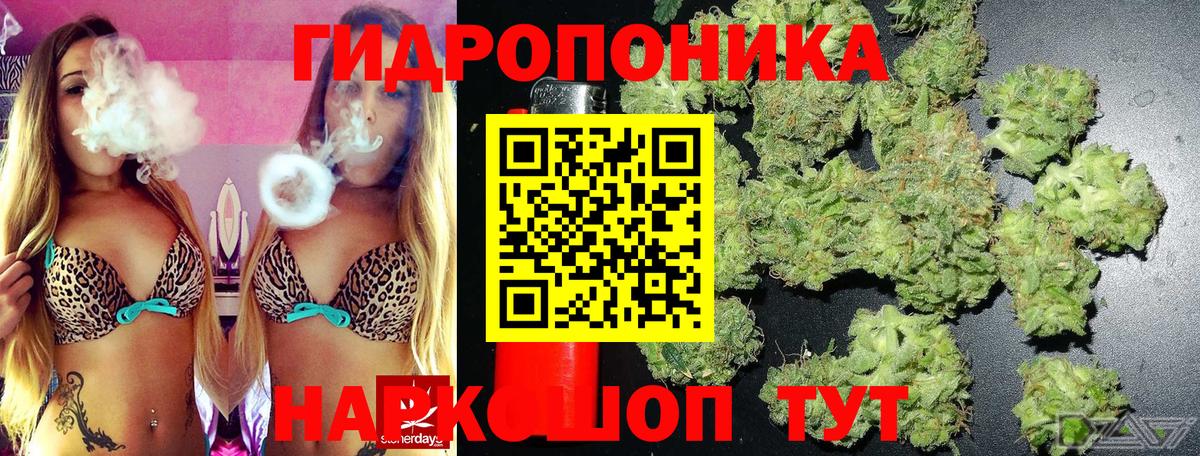 Канабис OG Kush Верхняя Пышма
